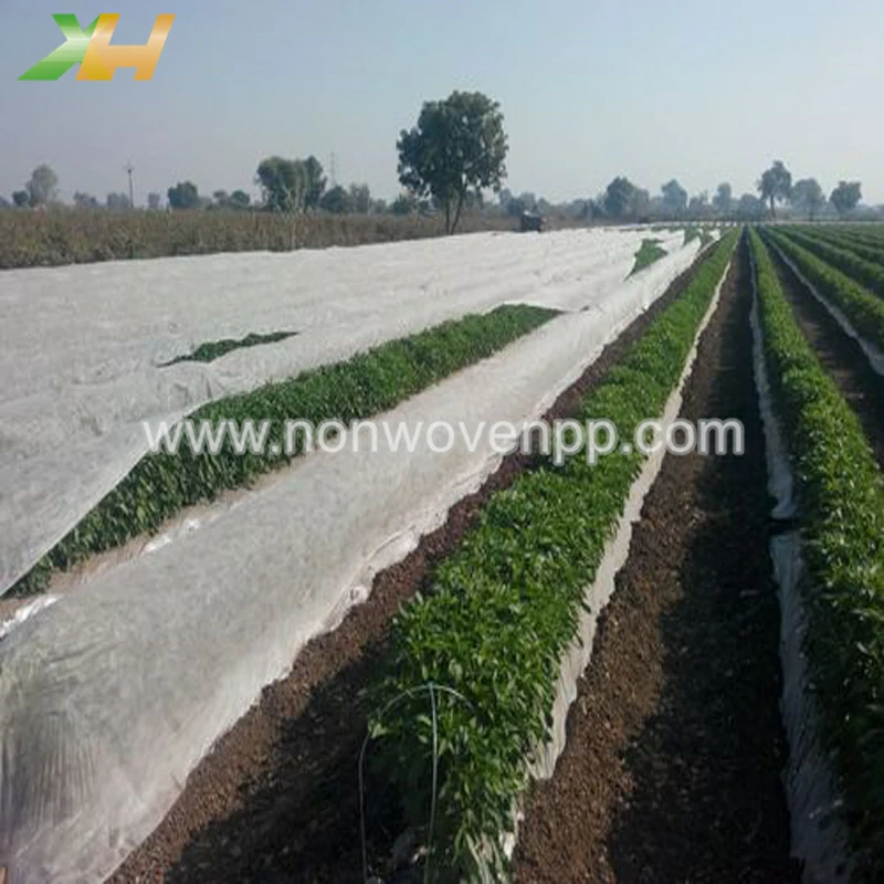 nonwoven manufacturers